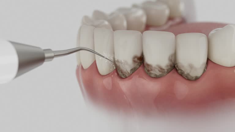 Reliable Dental contractor in Grantville, GA by Dentist Open Now